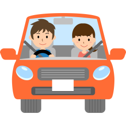 Autocollant Métier Permis 2