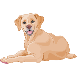 Autocollant Métier Santé Vétérinaire 1