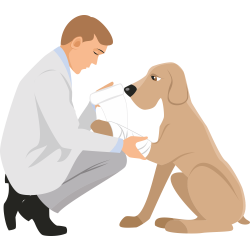 Autocollant Métier Santé Vétérinaire 2