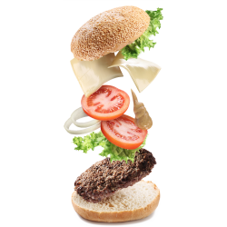 Autocollant Salé Hamburger 4