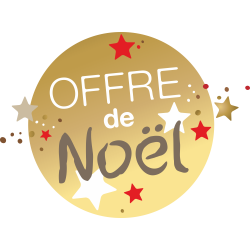 Autocollant Soldes Offre De Noël 2