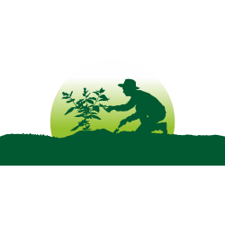 Autocollant Logo Nature Jardinage 5