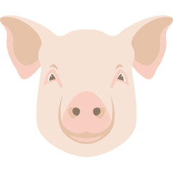 Autocollant Logo Animaux Ferme Cochon 2