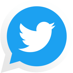 Autocollant Logo Réseau Social Twitter 2