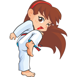 Autocollant Sport De Combat 1