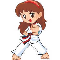 Autocollant Sport De Combat 2