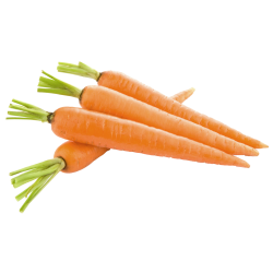 Autocollant Alimentation Légume Carotte 1