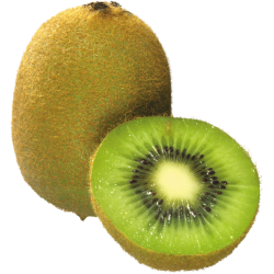 Autocollant Alimentation Fruit Kiwi