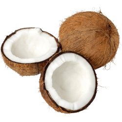 Autocollant Alimentation Fruit Noix De Coco 1