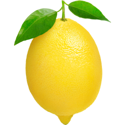 Autocollant Alimentation Fruit Citron 1