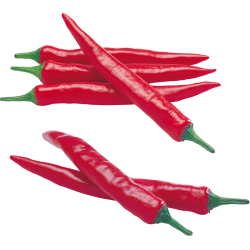 Autocollant Alimentation Légume Piment 1