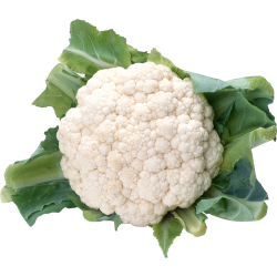 Autocollant Alimentation Légume Chou Fleur 6