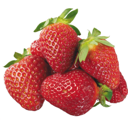 Autocollant Alimentation Fruit Fraises 1