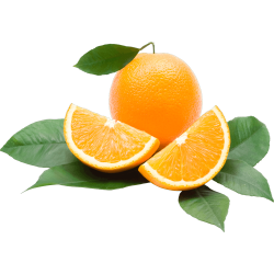 Autocollant Alimentation Fruit Orange