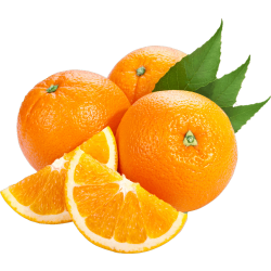 Autocollant Alimentation Fruit Orange 2