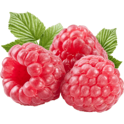 Autocollant Alimentation Fruit Framboises 1