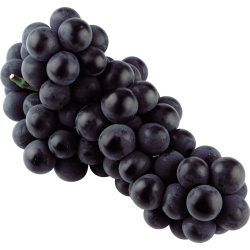 Autocollant Alimentation Fruit Raisins 2