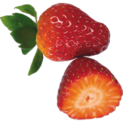 Autocollant Alimentation Fruit Fraises 3