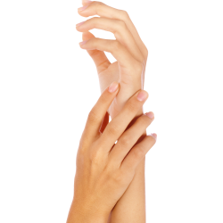 Autocollant Personne Mains