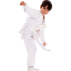 Autocollant Personne Enfant Judo 2