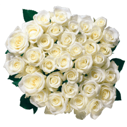 Autocollant Divers Fleur Rose 3