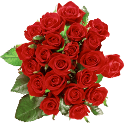 Autocollant Divers Fleur Rose 6