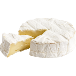 Autocollant Alimentation Fromage Brie 1