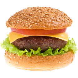 Autocollant Alimentation Hamburger Boeuf