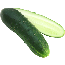 Autocollant Alimentation Légume Concombre