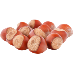 Autocollant Alimentation Noisettes