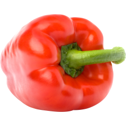 Autocollant Alimentation Poivron Légume