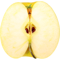 Autocollant Alimentation Pomme Fruit 1