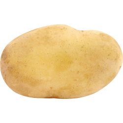 Autocollant Alimentation Patate Légume 4