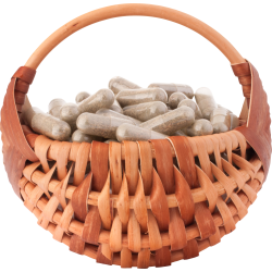 Autocollant Divers Médicament Gelule Plante