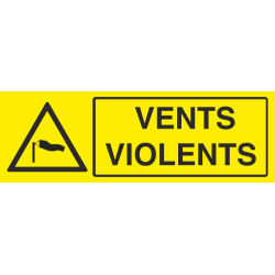 Panneau Vents violents