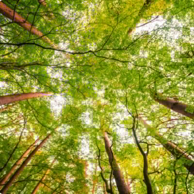 La Science au service du climat