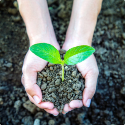 Développement durable