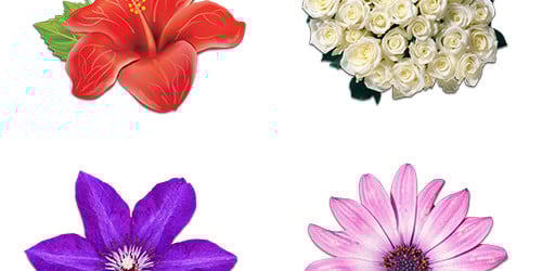 Stickers MPA Pro