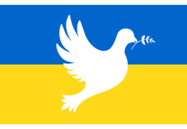 Sticker Ukraine Drapeau Soutien