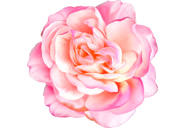 Autocollants Fleur Rose 1