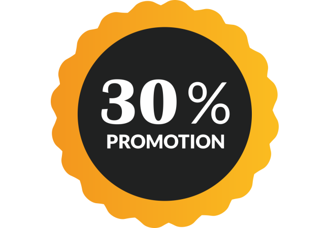 Autocollant Soldes 30% De Promotion