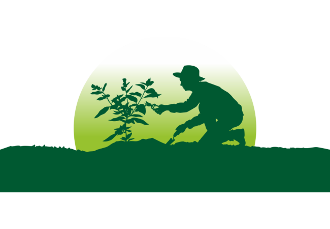 Autocollant Logo Nature Jardinage 5