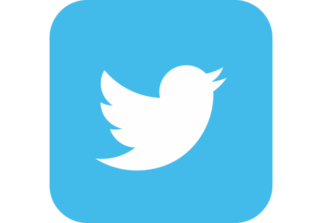 Autocollant Logo Réseau Social Twitter