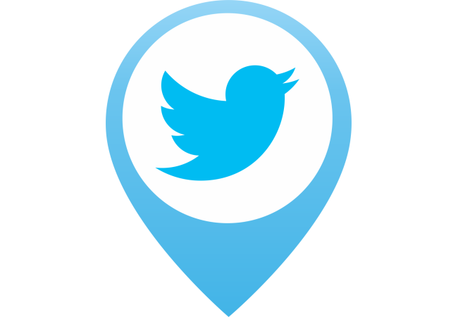 Autocollant Logo Réseau Social Twitter 3