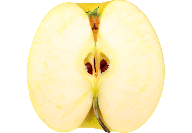 Autocollant Alimentation Pomme Fruit 1