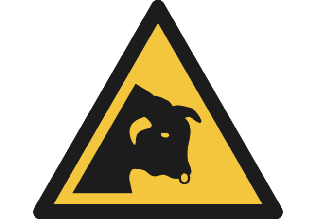 W034- ISO 7010 - Panneau Danger, Taureau