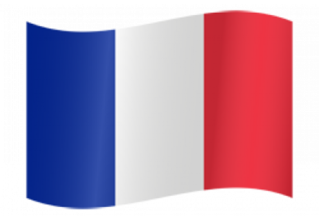 Autocollant Drapeau français 2