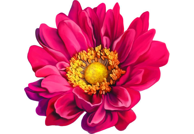 Autocollants Fleur Rose