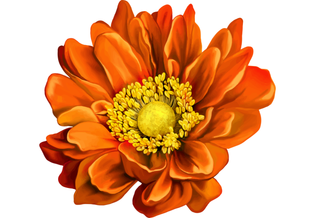 Autocollants Fleur Orange
