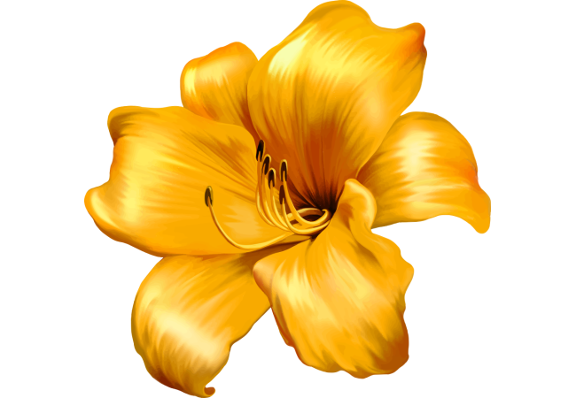 Autocollants Fleur Jaune